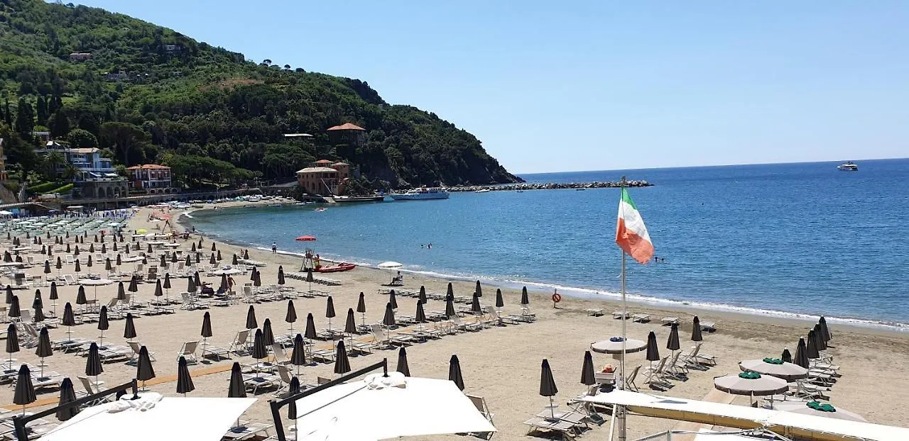 Beach Paradise location